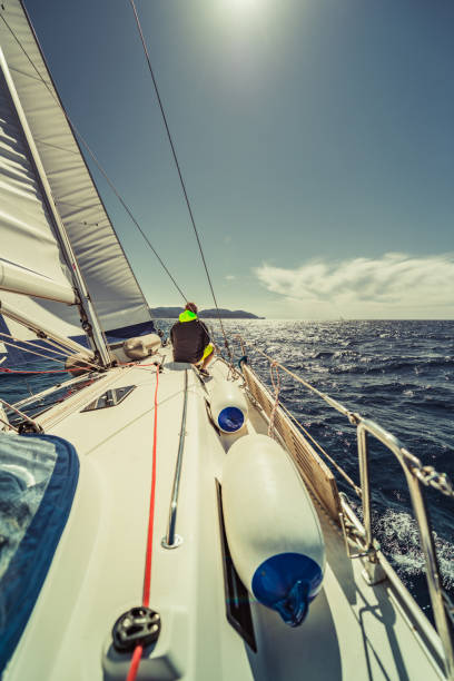 istock adventure man sailing on Aadriatic sea 1256095218