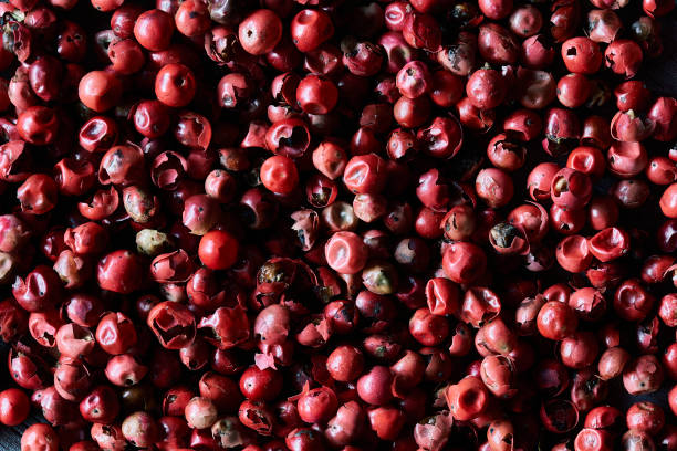 Close up of red pepper dry fruit texture background