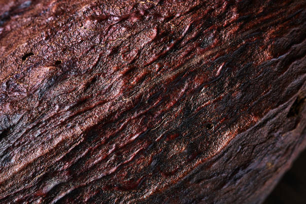 Close up of dry cacao fruit texture background