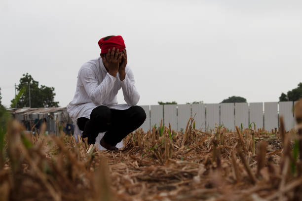 istock Hopeless farmer suffering with depression on agricultural field 1256095565