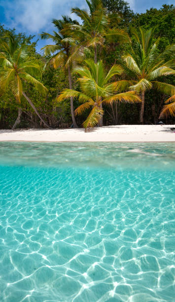 istock over under split shot of tropical beach 1256098140