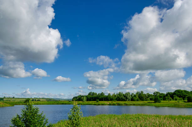 istock Big white clouds float over a lake in a forest on a blue sky, nature traveling on isolation 1256099694