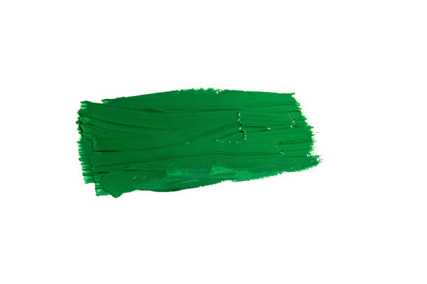 istock Green Watercolor Brush isolated on white 1256106096