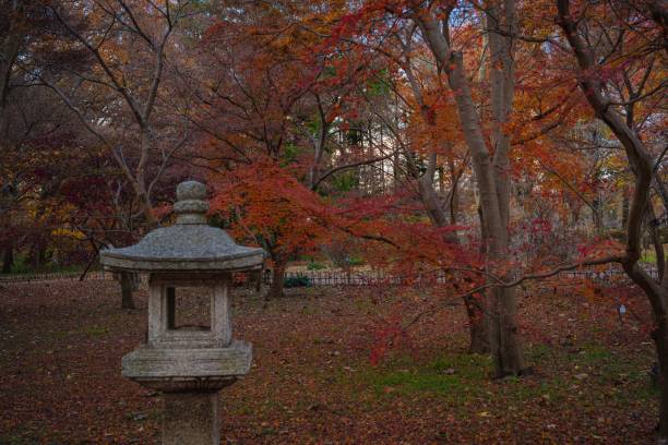 istock Autumn mood in the  park 1256106297