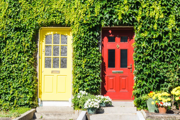 istock Colorful Wooden Doors with Ivy England 1256106897