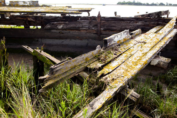 Abstract detail of an abandoned wooden sailing ship in River Chelmer estuary