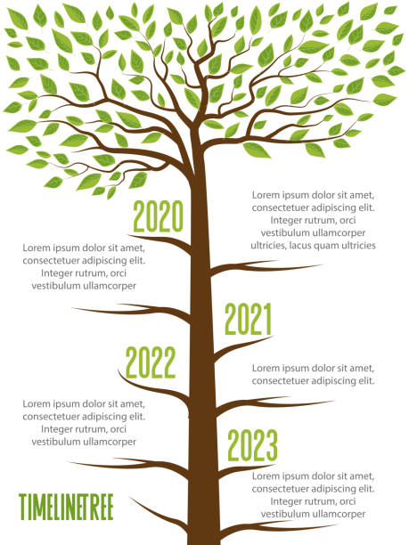 1,500+ Tree Growth Timeline Stock Photos, Pictures & Royalty-Free ...