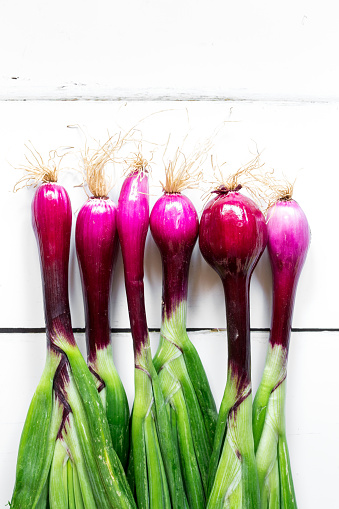 Color image depicting freshly picked red spring onions (scallions) in a row on a white wooden floorboard surface. Room for copy space.