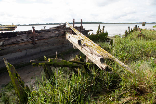 istock Close-up of shipwreck in estuary 1256107461