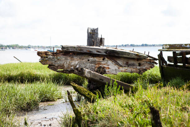istock Close-up of shipwreck in estuary 1256108449