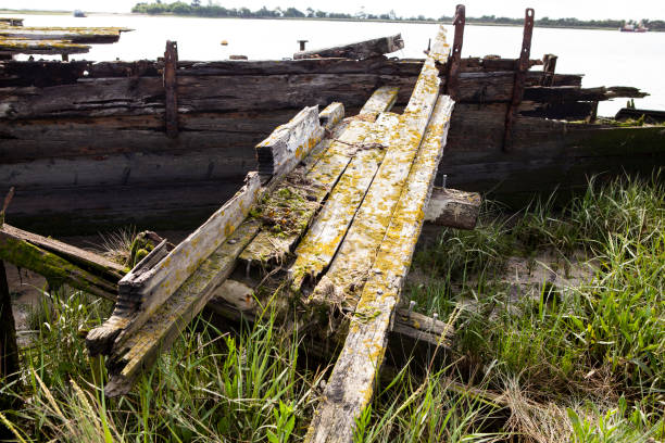 istock Close-up of shipwreck in estuary 1256109003