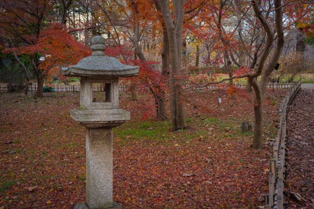 istock Autumn mood in the  park 1256109815