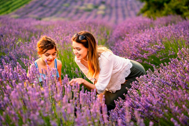 istock Happy family in lavender field 1256111553