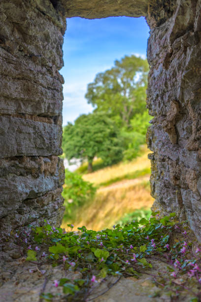 istock Windows in Visby old town wall. Medieval fortification. Gotland. 1256111725