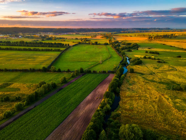 istock View of farmland during dusk 1256111953