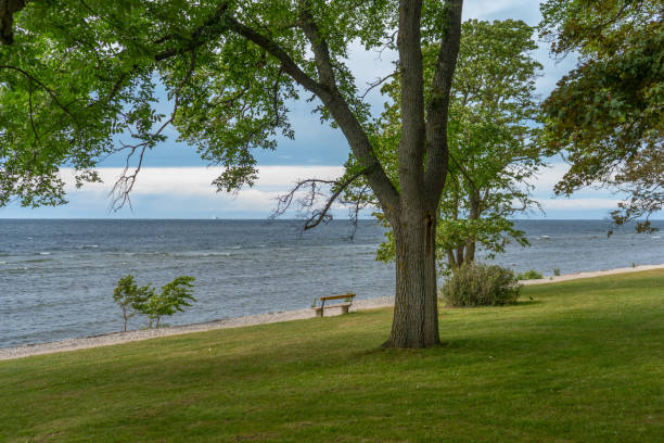istock Baltic sea coast in Visby town. Gotland. 1256112055