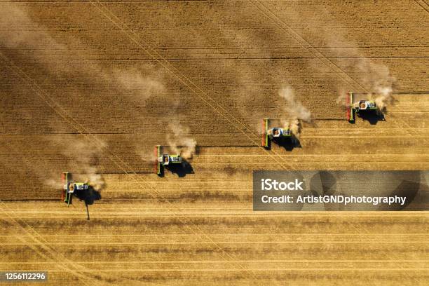 Harvesting In Agriculture Crop Field Stock Photo - Download Image Now - Aerial View, Harvesting, Agriculture