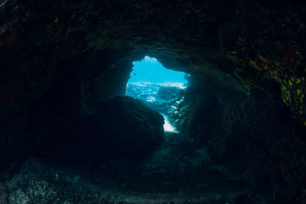 istock Underwater scene with tunnel cave in blue ocean 1256114631