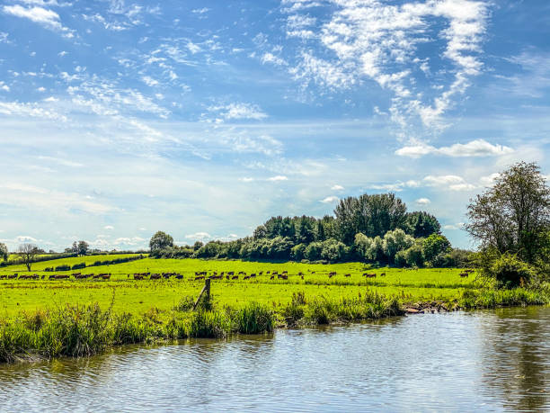 istock Staffordshire meadows 1256118365