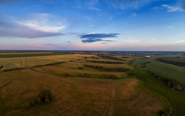 istock Top aerial view of green fields and meadows 1256121165