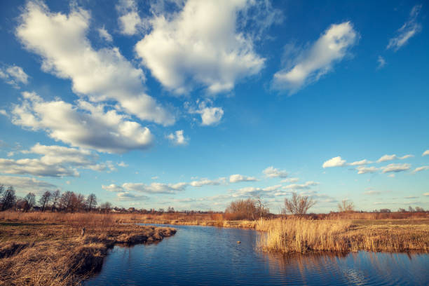 Rural landscape. River in early spring. Beautiful nature