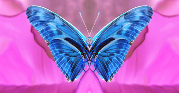 istock Big electric blue wings fantasy 1256124733