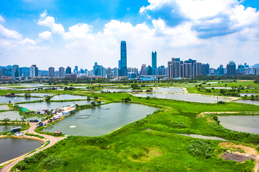 Drone view of rural green fields with fish ponds on Hong Kong and the skylines of Shenzhen