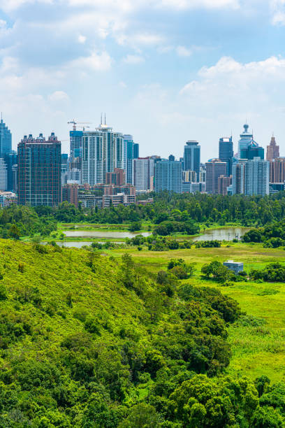 istock View of skylines in Shenzhen,China 1256125042