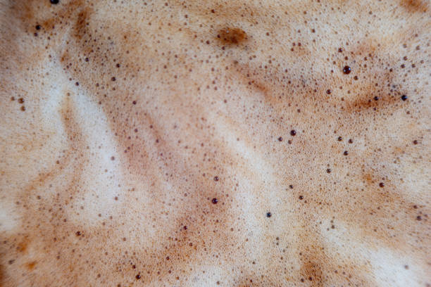 istock Macro bubbles of black coffee foam 1256125492