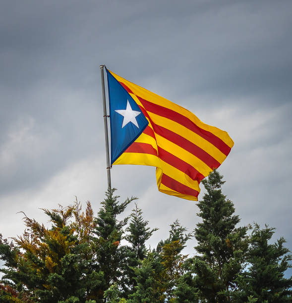 istock Blue Senyera Estelada on a flagpole at cloudy sky. 1256126140