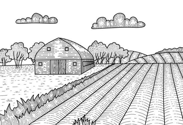 Rural landscape in engraving graphic style. Hand drawn sketch converted to vector Illustration. Countryside with a farm, barn house. Rural landscape in engraving graphic style. Hand drawn sketch converted to vector Illustration. Countryside with a farm, barn house granary stock illustrations
