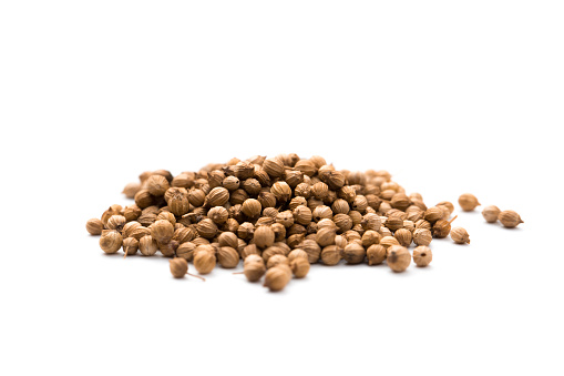 Heap of raw, unprocessed organic coriander or cilantro seeds on white background