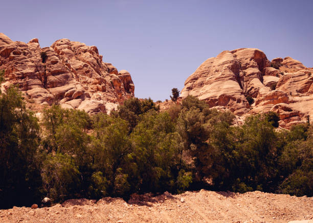 istock Beautiful view of nature in Jordan 1256126425
