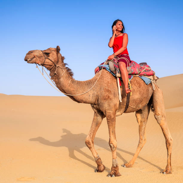 istock Young female tourist using mobile on a camel, Rajasthan, India 1256128189