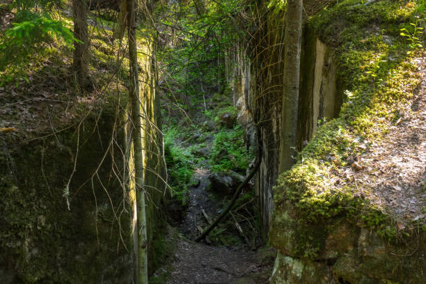 istock A corridor in an abandoned fort planted with trees 1256128232