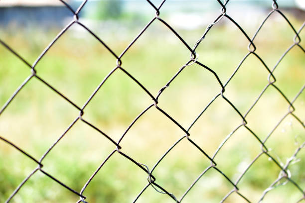 istock Iron mesh netting on the garden fence in summer 1256129535