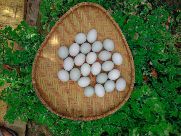 istock Salted duck eggs are put on top of the trash 1256131035