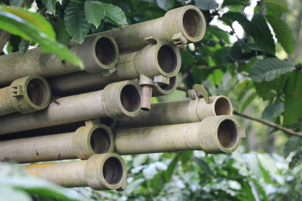 istock Metal irrigation pipes stacked on coffee plant 1256131664