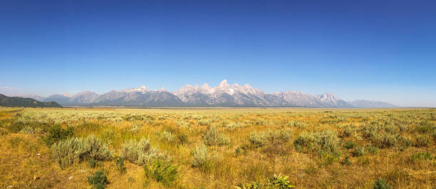 panorama de grassland under of the peaks do grand teton national park - teton range grand teton national park mountain rural scene - fotografias e filmes do acervo