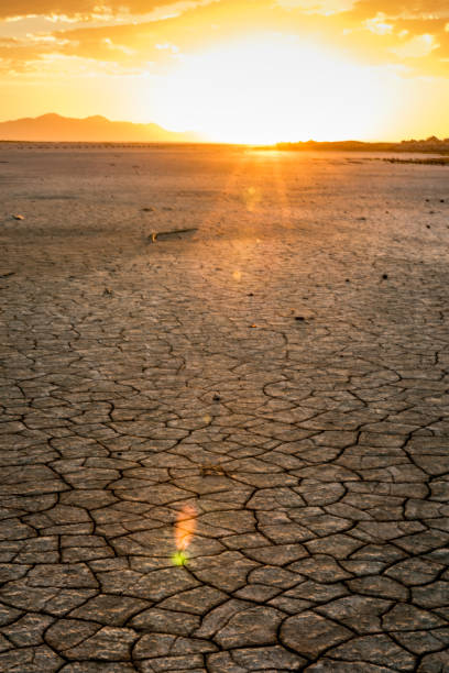 istock Dried Up Desert Lakebed at Sunset 1256132568