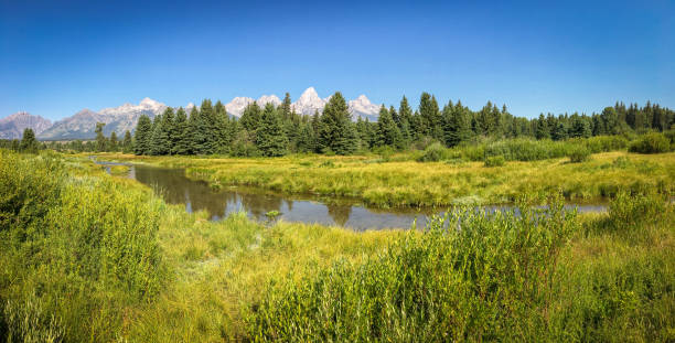 istock Panoramic of River with Grand Tetons in the Background 1256132708