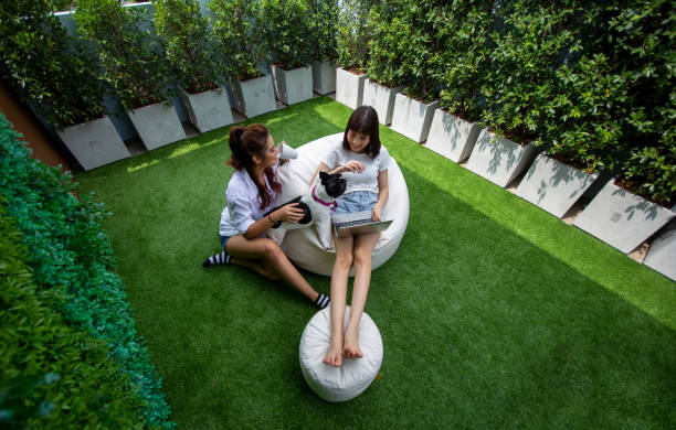 istock High Angle View Of Friends With Dog Using Laptop In Yard 1256134433