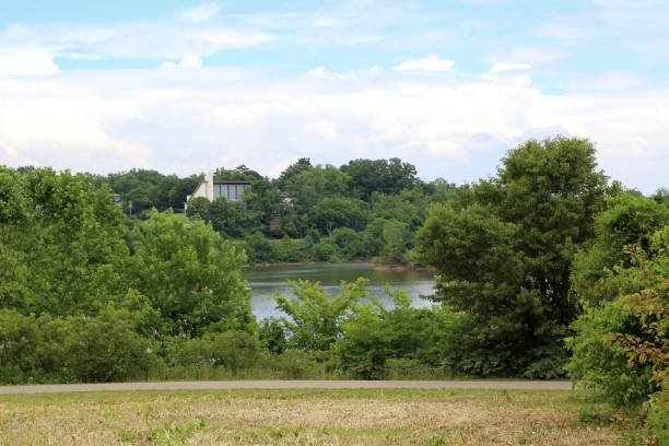 istock Lake and Grass Landscape 1256135243