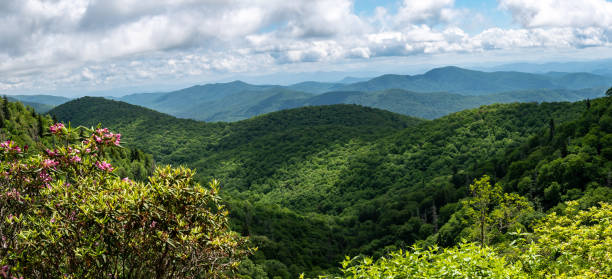 istock Appalachian Mountain View Along the Blue Ridge Parkway 1256135780