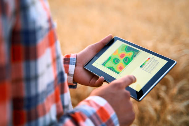 Precision farming. Farmer hands hold tablet using online data management software, differential fertilizer application maps. Agronomist works with touch screen to control, analyse agriculture business stock photo