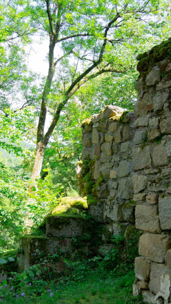 istock old feudal brick wall with door 1256137177