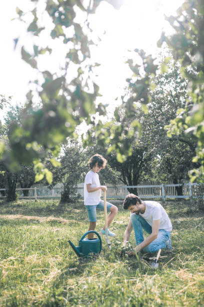 istock Dark-haired boy and his dad looking busy while working in the garden 1256137895