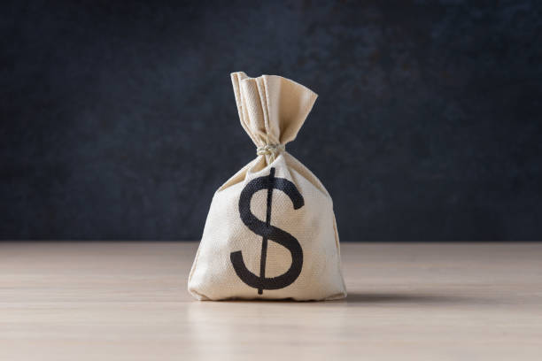 istock Money bag with USD symbol over dark blue background 1256140360