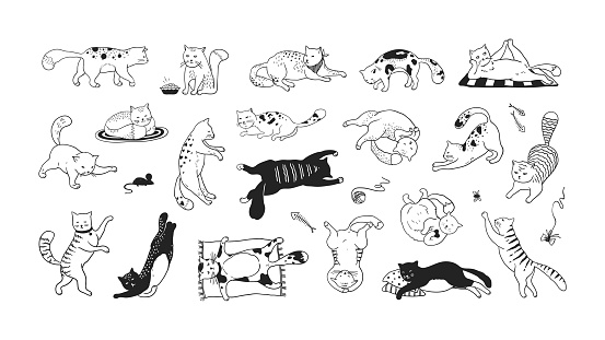 Hand drawn cats. Funny and cute pets, doodle black different kittens and cats sitting lying and playing. Vector ink sketch characters