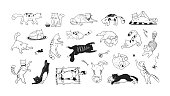 istock Hand drawn cats. Funny and cute pets, doodle black different kittens and cats sitting lying and playing. Vector ink sketch characters 1256141723